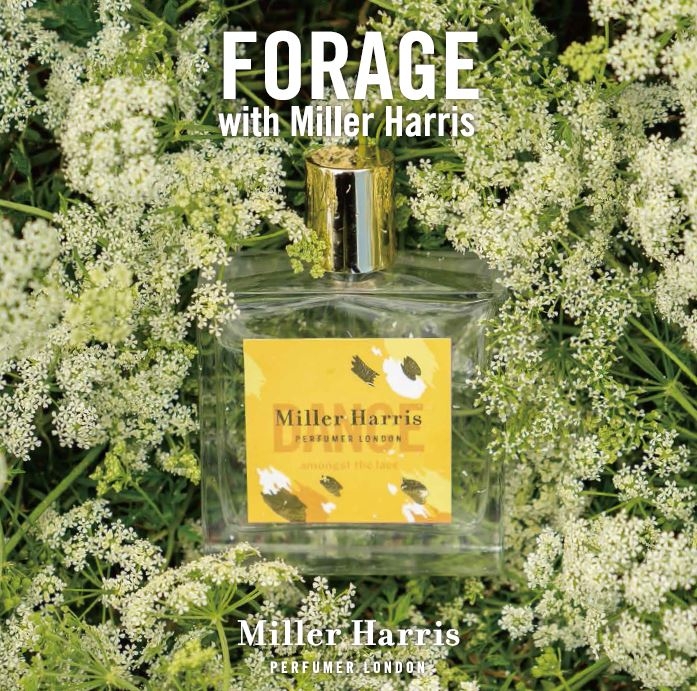 神戸阪急 にて取扱い開始