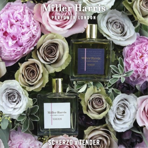 横浜そごうリニューアル