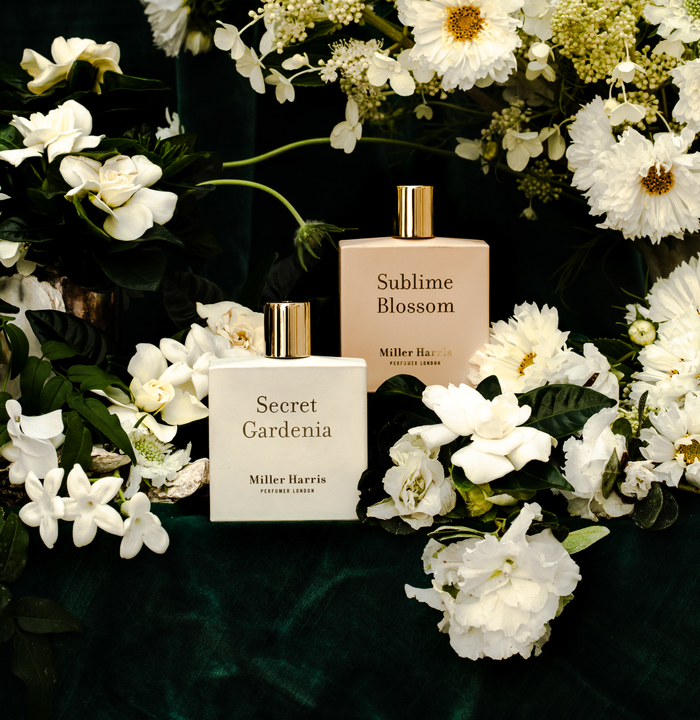 サブライム ブロッサム & シークレット ガーデニア 発売