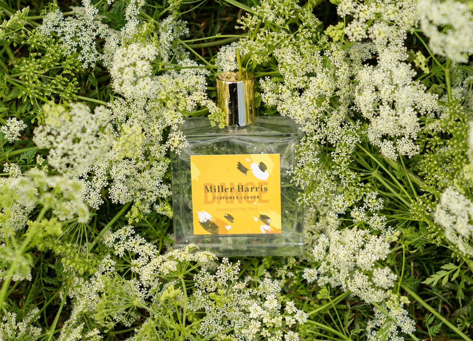 ＜コラム＞　笑顔を呼ぶ香り （後編）