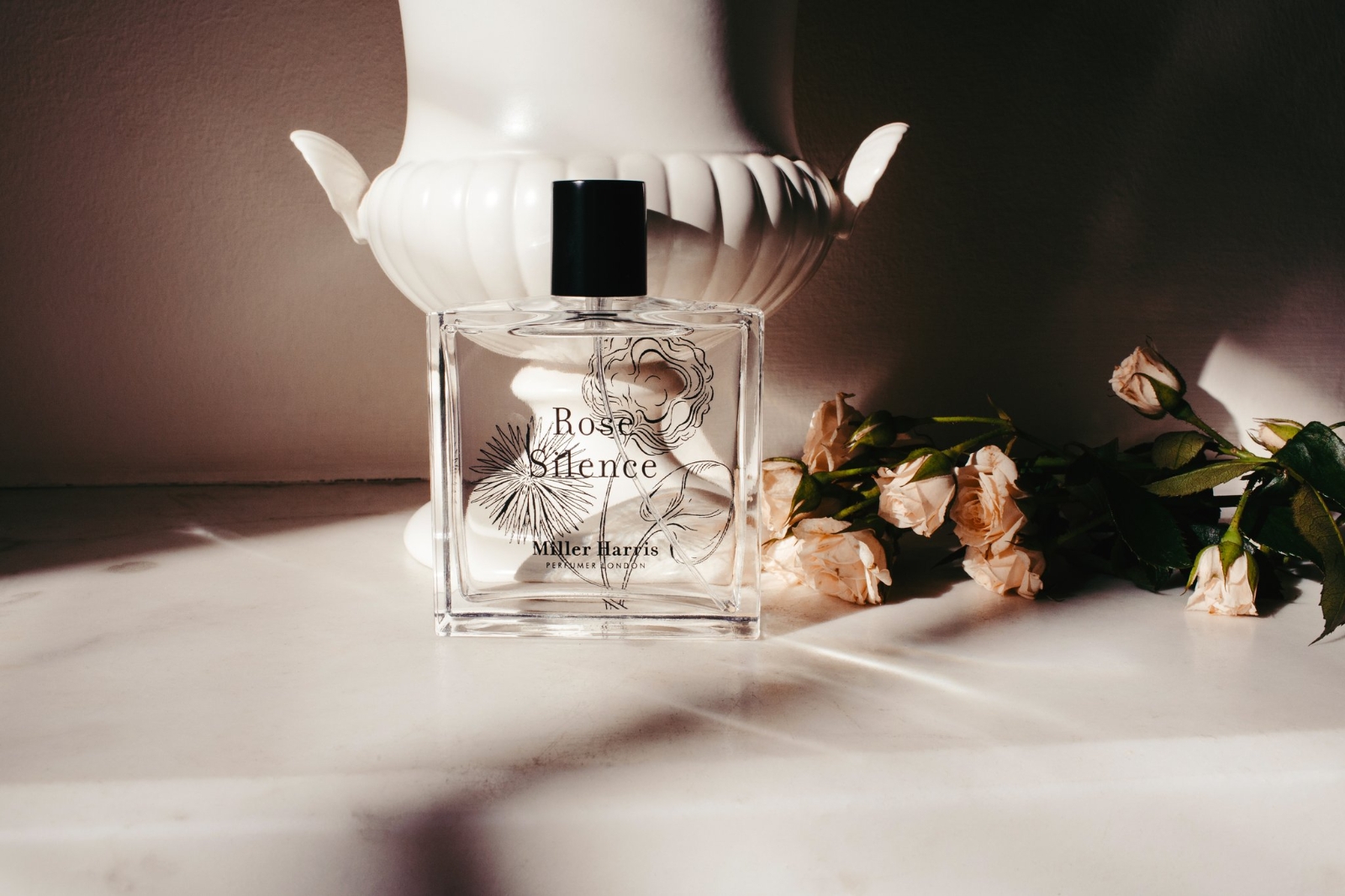 ＜コラム＞　暑い街、都会の夏（前編）