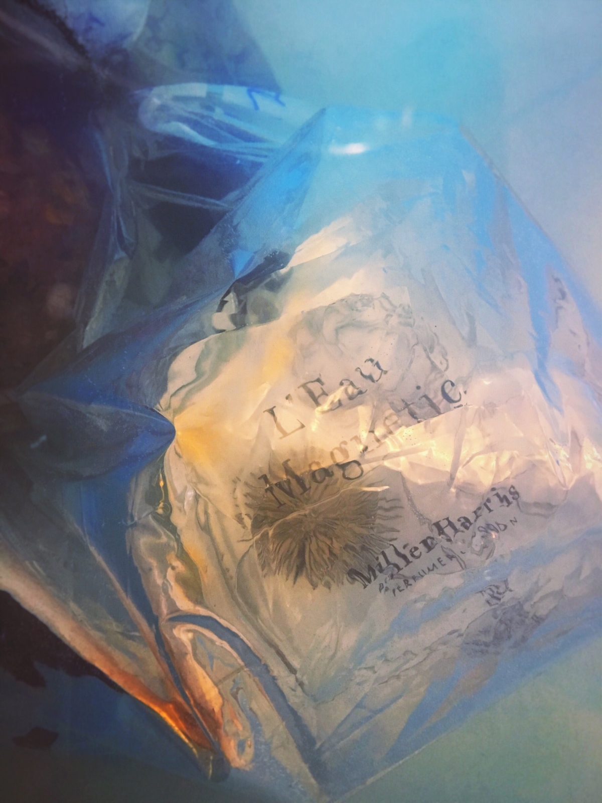 ＜コラム＞　笑顔を呼ぶ香り （前編）