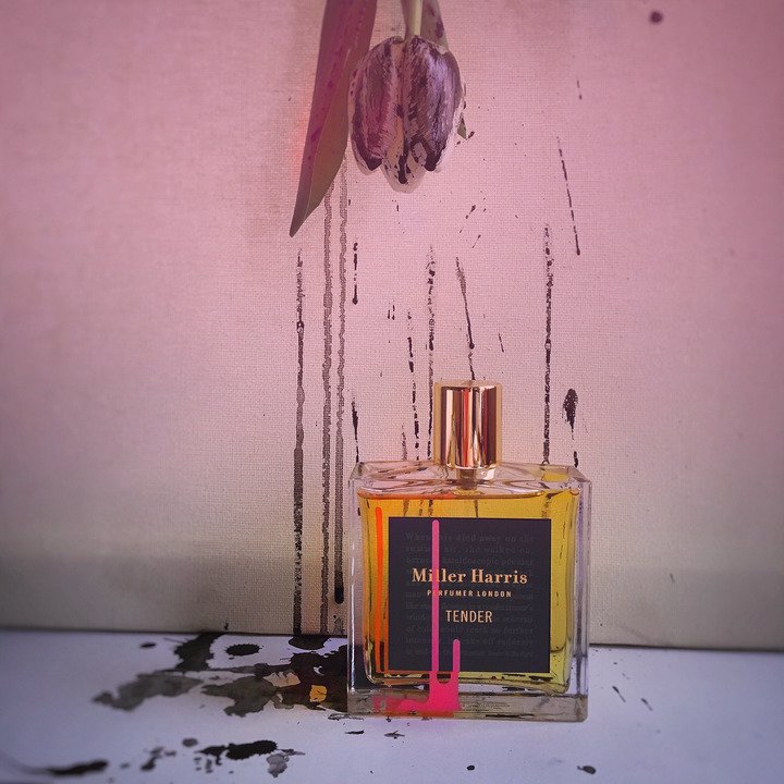 ＜コラム＞ 「テンダー」調香師 ベルトラン ドゥシュフール インタビュー